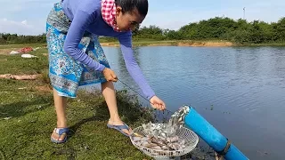 Fishing plastic pipe at my village | Unique Fish Trapping style