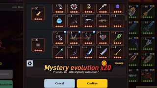 Mystery evolution x20 - Guardian Tales