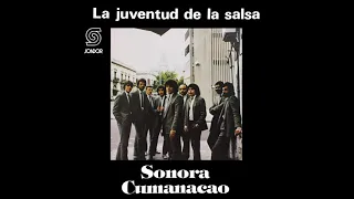 🎧SONORA CUMANACAO - La Juventud de la Salsa (1985) [📀Calidad SONDOR]