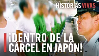 La cárcel en Japón: el sistema penitenciario más estricto del mundo. | Documental HD