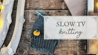 Thanksgiving Slow TV Knitting | Relaxing Autumn Knit with Me