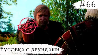 The Witcher 3 Wild Hunt ➧ Тусовка с Друидами ➧ #66