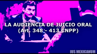 LA AUDIENCIA DE JUICIO ORAL | SISTEMA PENAL ACUSATORIO