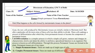 *Science* 9th Class Worksheet no 45, date : 16/10/2020 , In English || with solutions||