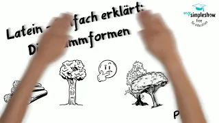 Latein - Einfach erklärt: Die Stammformen