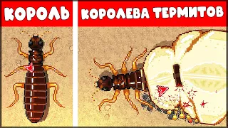 ЭВОЛЮЦИЯ ТЕРМИТОВ! КОРОЛЬ и КОРОЛЕВА ТЕРМИТОВ | КООПЕРАТИВНЫЕ БОИ - Pocket Ants: Симулятор Колонии