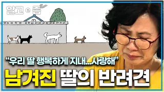 "세나개 역.사.상 가장 슬픈 이야기" 딸이 떠나고 딸의 반려견을 키우는 엄마의 눈물 없이 볼 수 없는 사연│세상에 나쁜 개는 없다│알고e즘