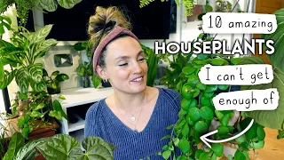 10 Houseplants That Are Blowing My Mind Right Now 🤯🌿