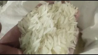 Basmati and non Basmati rice exporters in India