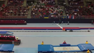 Gao Lei Final Trampoline World Championships 2017