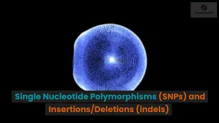Single Nucleotide Polymorphisms (SNPs) and Insertions/Deletions (indels)