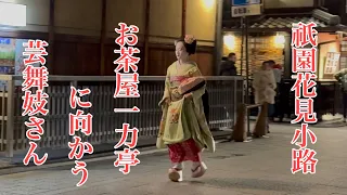 祇園花見小路 お茶屋一力亭に向かう芸舞妓さんたち Geisha and Maiko in Gion 【4K】