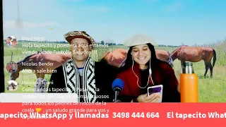 El tapecito programa en vivo