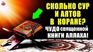 ЧУДО СВЯЩЕННОЙ КНИГИ АЛЛАХА! СКОЛЬКО СУР И АЯТОВ В СВЯЩЕННОМ КОРАНЕ? КОРАН