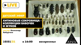 Детский эфир "Хитиновые сокровища - коллекции бабочек и жуков" в рамках рубрики "Путешествия с натур