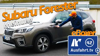 Boxer als Mildhybrid? Subaru Forester 2.0ie Platinum Lineartronic MHEV Meine Meinung und Erfahrungen