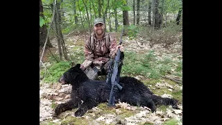 2019 spring bear hunt