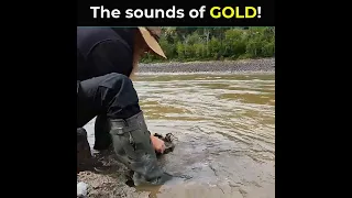 The sounds of GOLD!