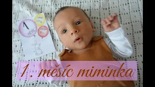 1. měsíc miminka I jak vypadá náš celý den? #VLOG | Máma a miminko