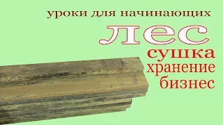 Сушка и хранение леса. Уроки для начинающих