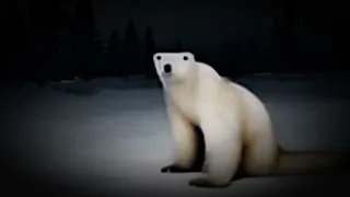 Creepy polar bear 2026 song