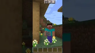 Песня про Бабку-камень в minecraft 😱 песня @titwow