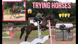 TRYING HORSES & MY NEW HORSE