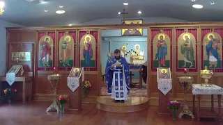 Orthros and Divine Liturgy - Sun 8/14/2022