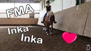 [FMA] Stall + Reitstunde ♥ | Training fürs Turnier! | Marina und die Ponys