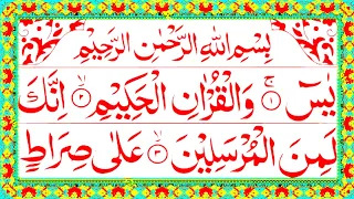 Surah Yaseen | Yasin Sharif | Surah Yaseen With Arabic HD text | Surah Yaseen By Kamran Islamic Tv