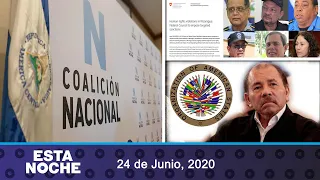 📺 Pallais: La Coalición garantiza derrota de Ortega; sanciones de Suiza, y Ortega en la mira de OEA