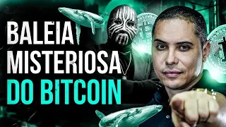 BALEIA DE BITCOIN MISTERIOSA ACUMULA MAIS DE 3 BILHÕES EM BTC - #btc EP:646