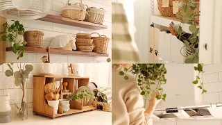 A house tour to clean and organize! Create a shiny kitchen with eco-friendly cleaning materials