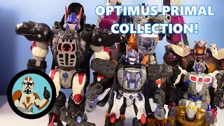 My OPTIMUS PRIMAL (Beast Wars) Transformers Collection! | Jcc2224