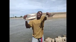 Catfishing at the Barkley Dam in Kentucky! | Skipjack Vs. Mooneye Challenge!!