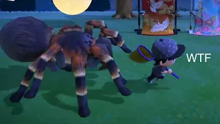 Best Animal Crossing New Horizons Clips #61