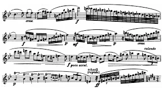 Richard Strauss - Oboe Concerto, TrV 292 (1945)