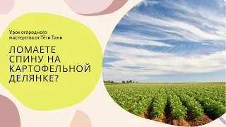 515. Может хватит спину ломать на картофельной делянке? Ведь все так  просто...