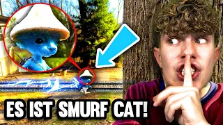 ICH FINDE SMURF CAT in REAL LIFE um 3 UHR NACHTS!!