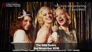 The Wild Tonics at Castleford Phoenix Theatre