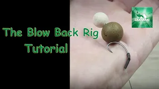Beginners Guide To Tie The Blow Back Rig ---- Tutorial