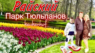 Королевский Парк Тюльпанов в Голландии/ Райский Парк Цветов Keukenhof