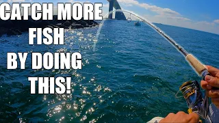 Fishing The Skyway Bridge How To Catch More Mangrove Snapper In Tampa Bay