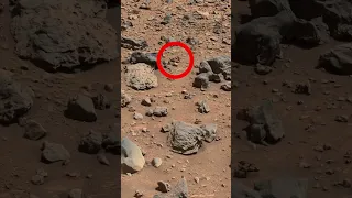 Som ET - 82 - Mars - Curiosity Sol 3923 - Video 4