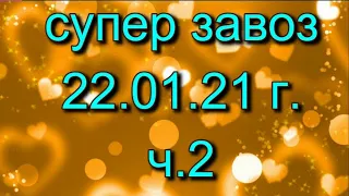 🌸Продажа орхидей. ( Завоз 22.01. 21 г.) 2 ч. Отправка только по Украине. ЗАМЕЧТАТЕЛЬНЫЕ КРАСОТКИ👍