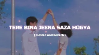 Rooh || Tere Bina Jeena Saza hogya ( Perfectly Slowed ) Tej Gill