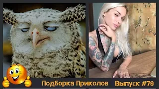 Лучшие приколы 2019 Февраль | Так не бывает | ПО ПРИКОЛУ#79😂 | Тест на психику