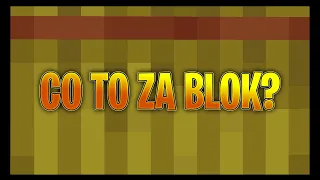 Minecraft Nie Zgadniesz Co To Jest Za Blok Challenge #shorts