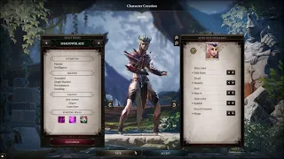 Divinity Original Sin 2 Shadowblade or Rogue Character Creation