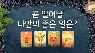 [타로] 곧 일어날 나만의 좋은 일은? 필요한 조언